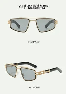 Detail view of C2 sunglasses with black gold frames and gradient brown lenses