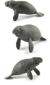 Detailed macro view showing realistic skin texture and wrinkles of a manatee toy model