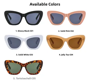 Detailed grid view showing five stylish cat-eye sunglasses colors with oversized retro frames