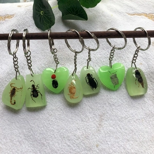 Macro detail of various resin keychains featuring real embedded insect specimens