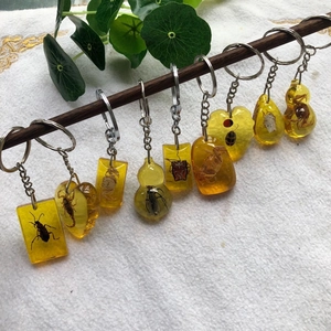 Close-up of amber resin keychains with real beetle and scorpion specimens inside