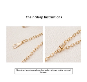 Detail of adjustable gold metal chain strap with spring hook for transparent jelly bags