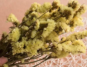Handheld bunch of premium yellow dried Forget-me-not flowers for DIY bouquet arrangements