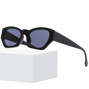 Fashion Cat Eye Sunglasses Geometric PC Frame UV400 Protection Vintage Eyewear For Women And Men