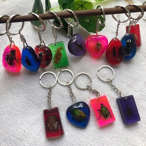 Assorted resin insect specimens in heart and teardrop shapes with metal keychains