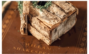 Detail von rustikalem Vogelhaus aus Baumrinde mit Moos auf antikem Buchcover