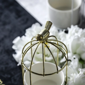 Nordic light luxury gold birdcage iron vase with ceramic pot for succulents and home decor