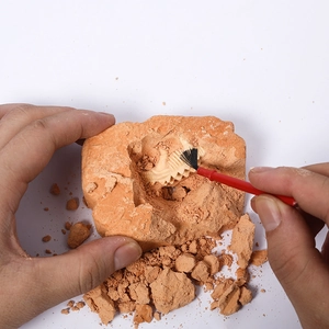 Archaeological dinosaur egg excavation toy with brush and gypsum fossil skeleton model