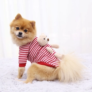 Detail of red striped pet sweater with a cute 3D plush bear doll on the back