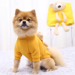 Close-up of yellow pet hoodie with 3D teddy bear doll on back worn by Pomeranian dog