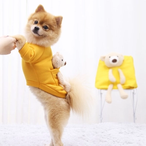 Detail of yellow pet hoodie with cute teddy bear plush toy in the back pocket for dogs