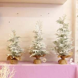 Three flocked mini Christmas trees with burlap bases for holiday tabletop decoration