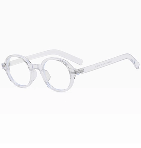 Detail shot of transparent round eyeglass frames with model ZN9884 printed on temple