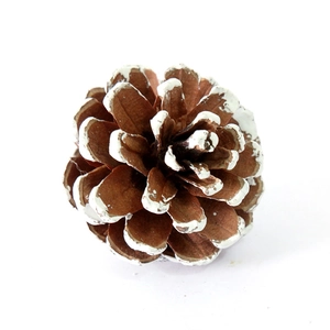 Golden natural pine cone with white snow spray tips for Christmas ceiling decoration