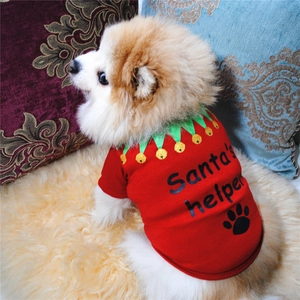 Close-up of a Pomeranian dog wearing a red Santa's helper Christmas t-shirt on a plush rug