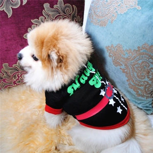 Detail of Pomeranian wearing a black Christmas dog T-shirt with Naughty text print