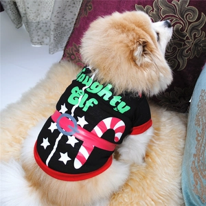Close-up of a black Naughty Elf Christmas dog shirt with red trim on a small pet dog