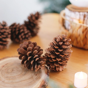 Natural decorative pine cones on rustic wooden surface with warm cozy ambient lighting