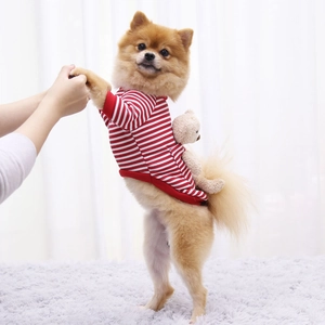 Detailed view of red and white striped dog sweater with cute plush bear ornament