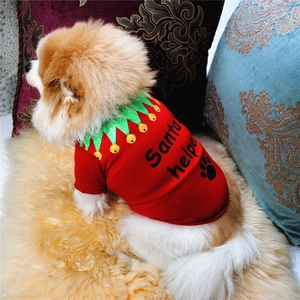 Dog wearing red Santa's Helper Christmas t-shirt sitting on a soft home carpet