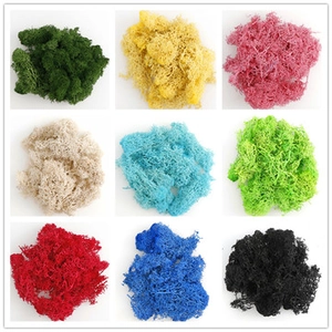 Detailed close-up of 9 colorful dried moss varieties for DIY decorative craft projects