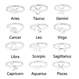 Polished stainless steel 12 zodiac signs open rings set in silver for women