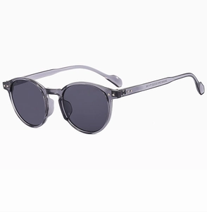Detail view of round vintage sunglasses featuring grey translucent frames and temple model ZN2930