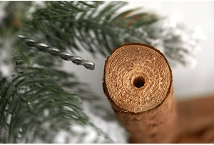 Macro shot of natural wood trunk structure with pre-drilled assembly hole for Christmas tree