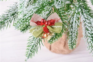 Close-up of red and green linen Christmas bow with golden bells on snowy pine branch