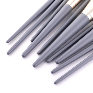 Professional 10pcs makeup brush set with dark grey matte handles and champagne gold ferrules