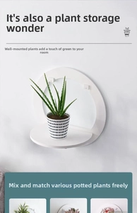 Close-up of white wall-mounted shelf featuring a semi-circular design for home plants