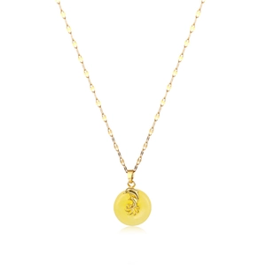 Titanium steel necklace with gold dolphin amber pendant and auspicious cloud details