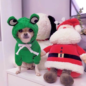 Detail of green frog pet hoodie with soft fleece fabric and cute eyes on small dog
