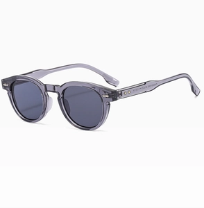 Close-up of translucent grey sunglasses hinge with gold star and model ZN3555