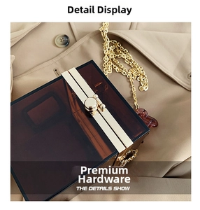 Macro shot of brown acrylic box bag with polished gold metal hardware and chain