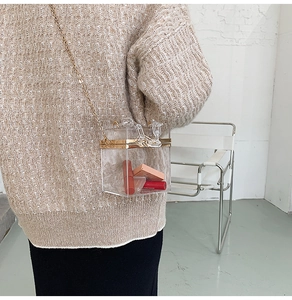 Detailed shot of transparent acrylic box bag with gold chain strap on model's shoulder