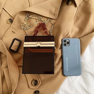 Brown acrylic box bag with gold metal frame and matching chain on beige trench coat