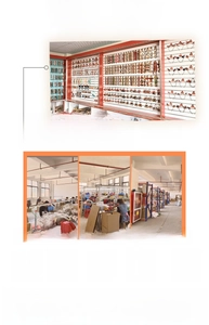 Vistas completas de la línea de producción de fábrica profesional y el almacén