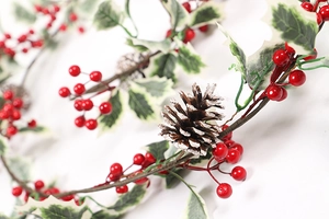 Vue macro de guirlande de Noël avec baies rouges, pommes de pin et feuilles de houx