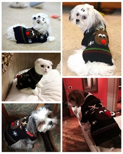 Detail of Christmas pet sweater with 3D red nose reindeer and snowflake patterns
