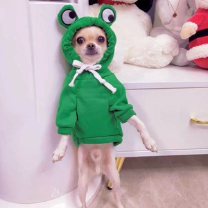 Close-up of green frog-style pet hoodie with white drawstrings on a small dog