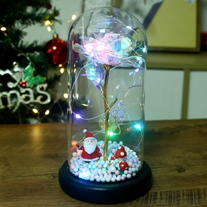 Close-up of holographic gold foil rose in glass dome with LED lights and Santa figurine