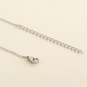 Polished silver stainless steel necklace chain with lobster clasp and extension link