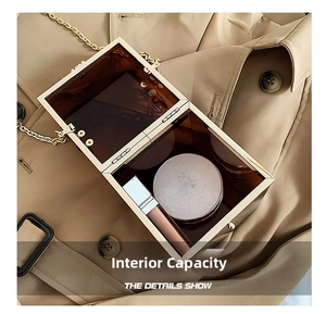 Interior view of the amber acrylic box bag showing space for lipstick and makeup