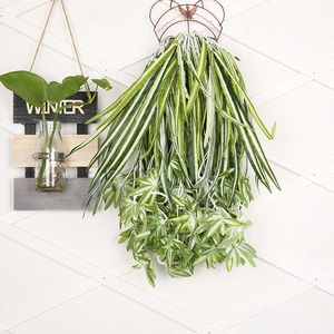 Hanging artificial spider plant with green and white striped leaves on a wooden grid wall