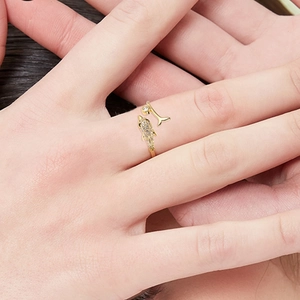 Chic 18k gold dolphin open ring with micro-set zircon and crystal for women