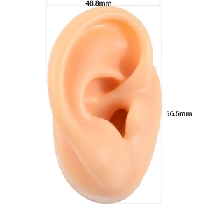 Macro view of silicone ear model with 48.8mm width and 56.6mm height dimensions
