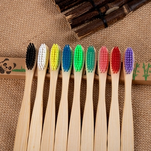 Set of 10 eco-friendly bamboo toothbrushes with colorful nylon bristles and storage case