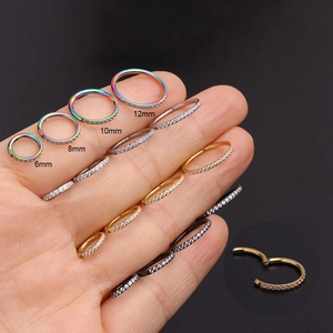 Anneau De Piercing En Acier Inoxydable Zircone Charnière Segment Anneau De Nez Septum Clicker Bijoux De Corps