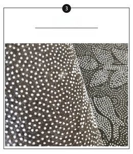 Close-up of non-slip rubber dots on the back of semi-circular bathroom floor mat